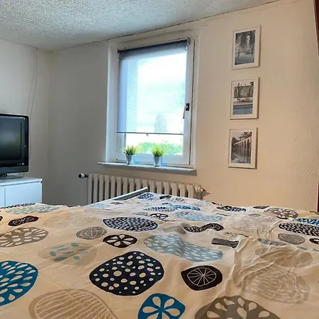 Schoene Dachgeschosswohnung * Magdeburg